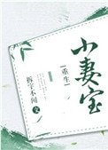 小妻宝[重生]